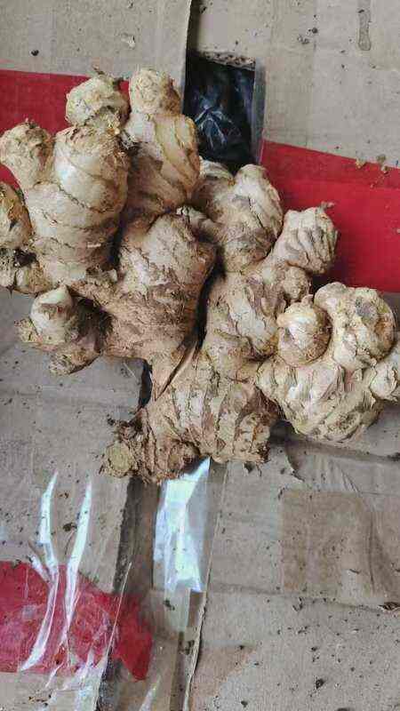 南充云南小黄姜，贵州二黄姜