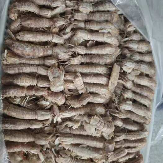 临泉县皮皮虾 20斤 价格低