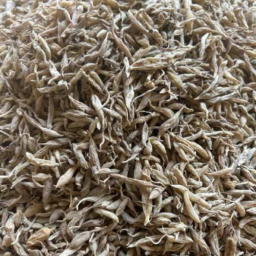 凤凰县麦冬 麦冬 无硫干货 量大从优 优质麦冬 一手货源供应