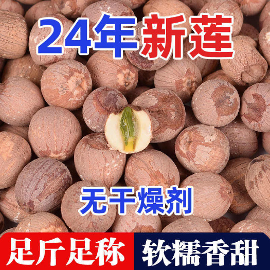宁乡市净重带芯红莲子无干燥剂湖南特产新鲜带皮莲子带芯无硫天然红莲子