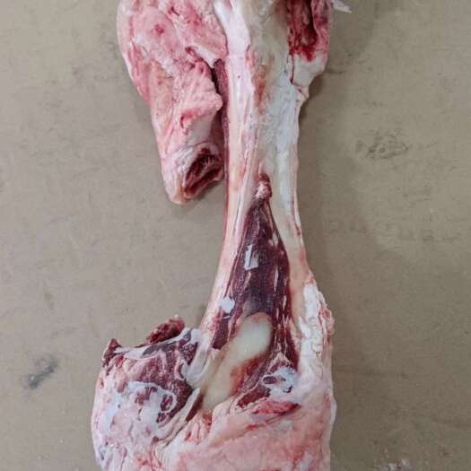 郑州新鲜牛副产品牛骨类 河南郑州惠济区发货 优质肉类食材