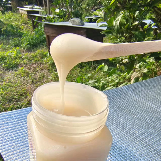 平武县枇杷蜂蜜枇杷蜜冬蜜结晶蜜农家自产中蜂百花蜜成熟原蜜土蜂蜜