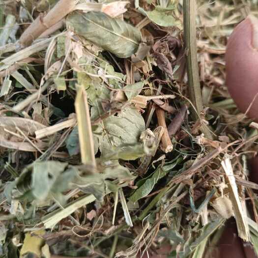 正阳县我家的花生秧无土，无膜，无霉变净利索要的请联系