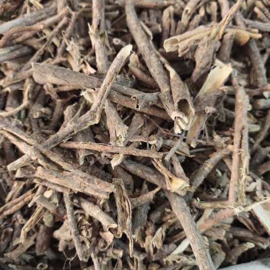 玉林（五加皮）新鲜优质 根茎类药材 精选正品