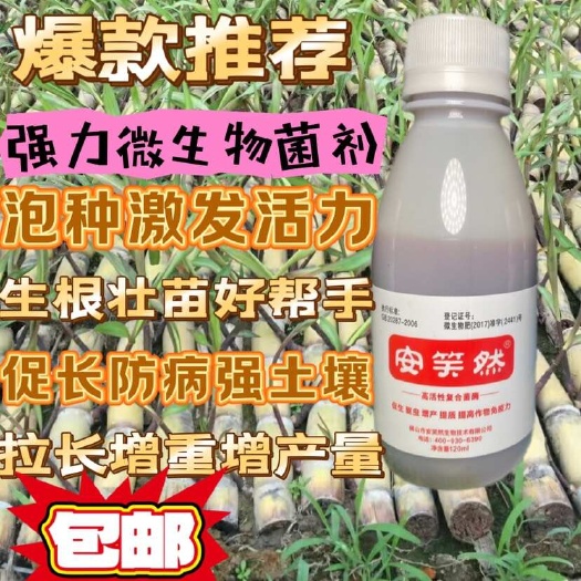 佛山安笑然微生物菌剂正品土壤肥沃甘蔗稻谷番茄苗多分蘖拉长增甜增产