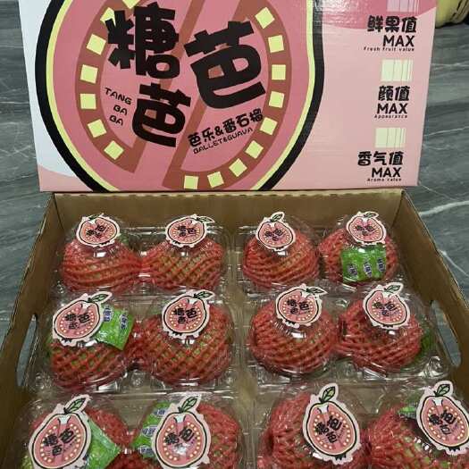漳州芭乐礼盒六合一