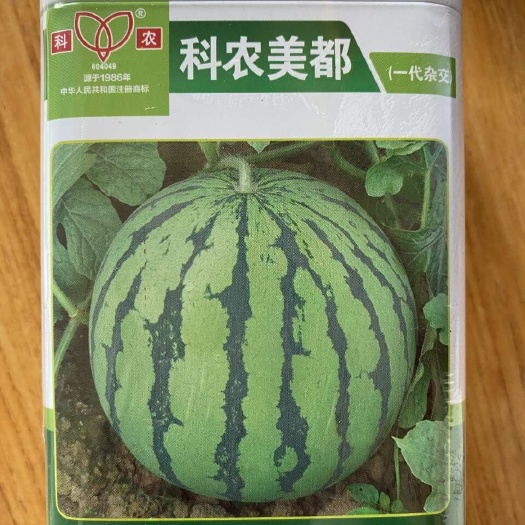 美都西瓜种子科农美都大果杂交西瓜种子瓜果大西瓜红心西瓜种子