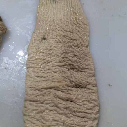 大厂县牛碗口  牛大肠头，精修无油，一手货源 牛杂 牛杂煲原料！