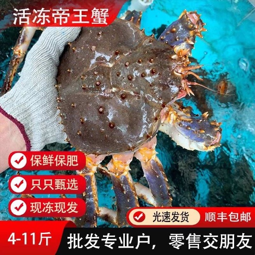 上海帝王蟹鲜活海鲜礼盒10斤特大龙虾帝皇蟹俄罗斯活冻冰鲜大螃