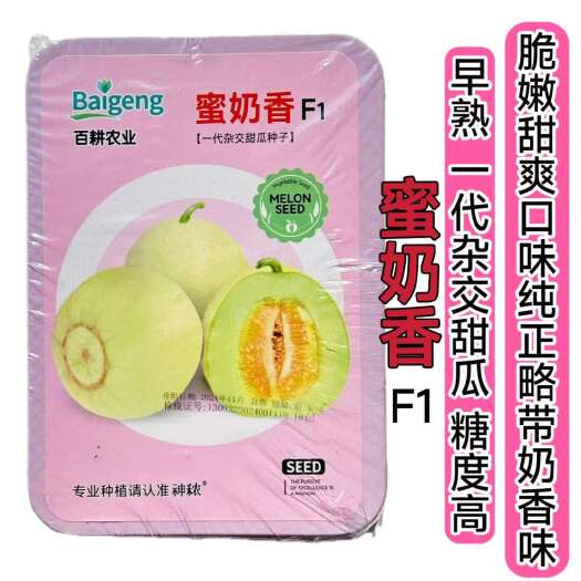 沭阳县冰糖翡翠甜瓜种子薄皮超甜绿皮四季脆瓜早熟阳台香瓜籽甜香