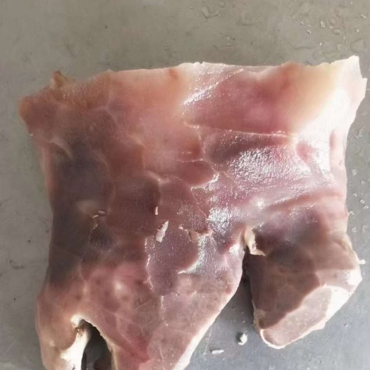 郑州公牛嘴