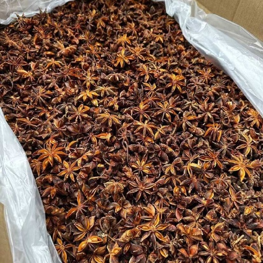 深圳大红八角