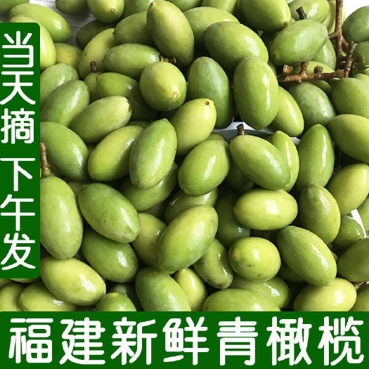 太原新鲜橄榄