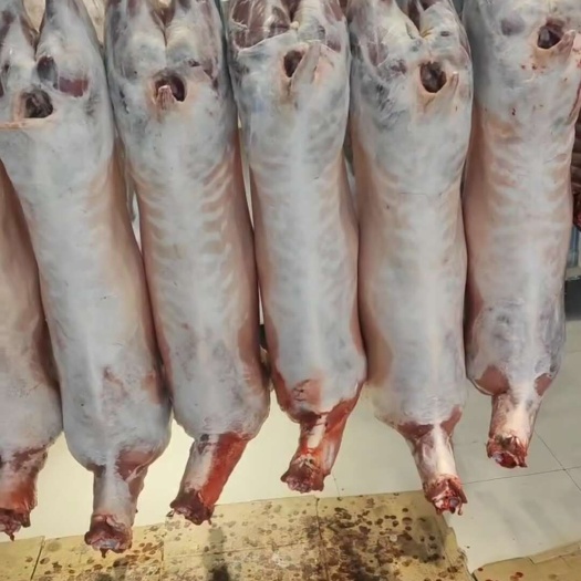 西宁清真羊肉