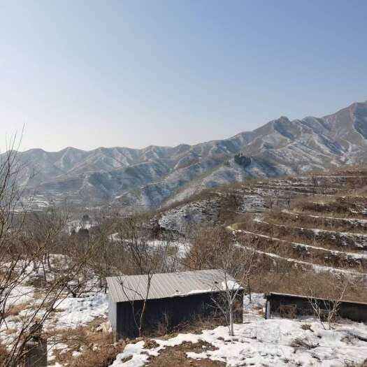 保定市易县清西陵5000亩荒山生态园林山地整体转让