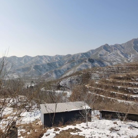 易县保定市易县清西陵5000亩荒山生态园林山地整体转让