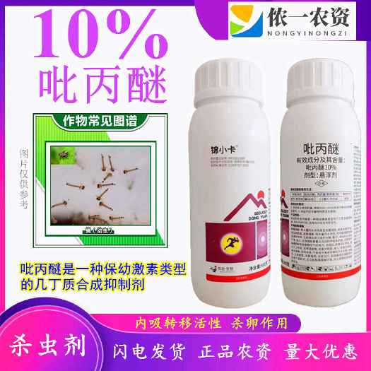 潍坊阿猛10%吡丙醚室外蝇幼孑孓白粉虱果树烟粉虱杀卵杀虫剂