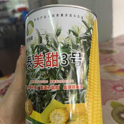 泰美甜3号甜玉米种子