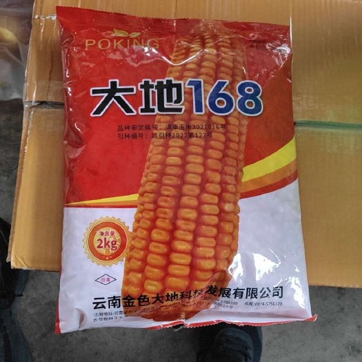 玉溪大地168