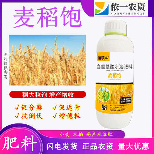 潍坊麦稻饱 促分蘖促进返青抗倒伏增加粒重