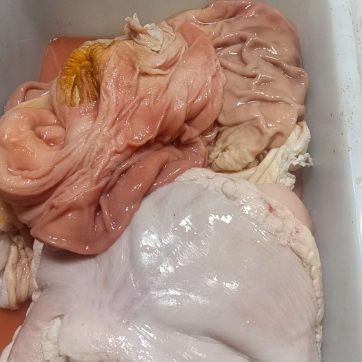 长沙猪肚