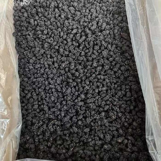 亳州新疆黑桑葚