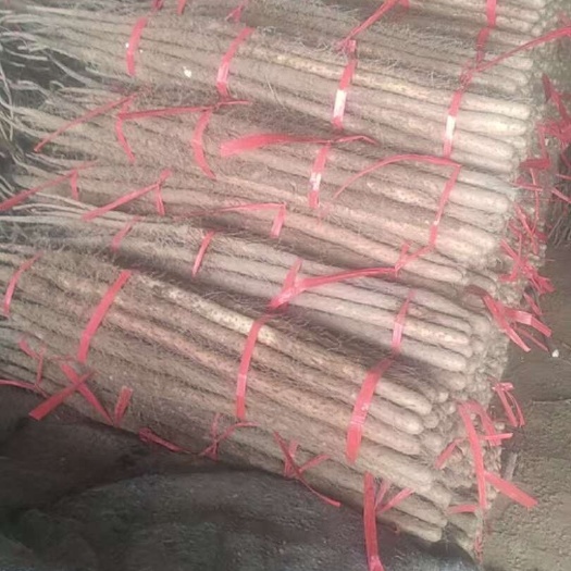 灵宝市灵宝红皮铁棍山药，大量现货，市场货，切片货，水洗货