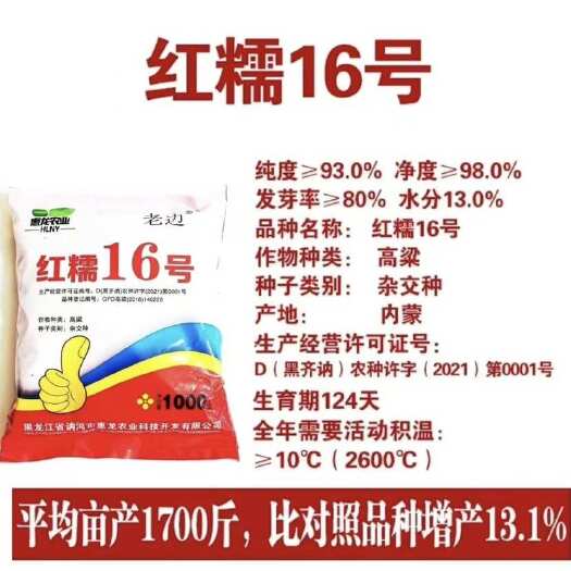 济宁红糯16号种子 糯高粱种子 高粱种子