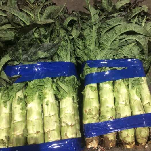 彭州市红尖莴笋青皮青肉￼