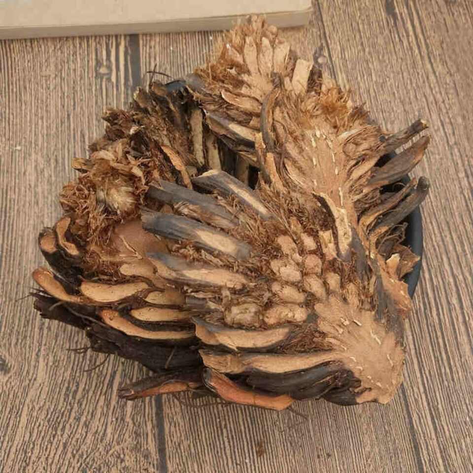中药材贯众  真品贯众 /贯渠/百头/虎卷/贯仲  贯节 贯