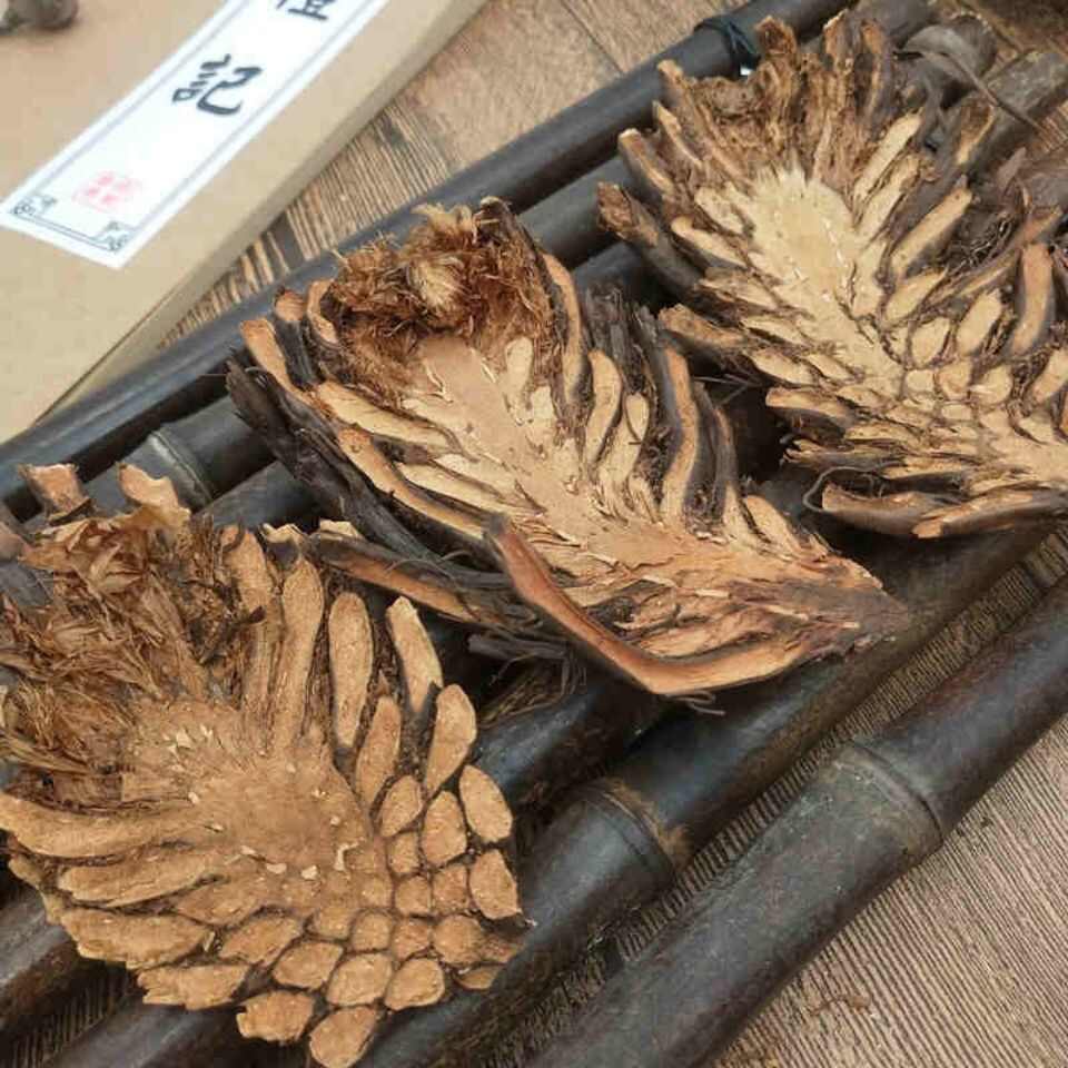 中药材贯众  真品贯众 /贯渠/百头/虎卷/贯仲  贯节 贯