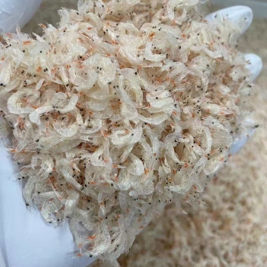 虾皮淡晒水晶虾皮生晒虾皮干净新货品质好有量批发