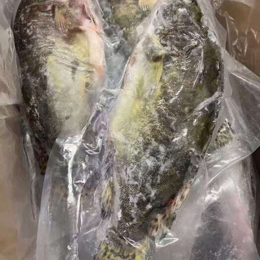 长沙三去桂鱼（冻品）