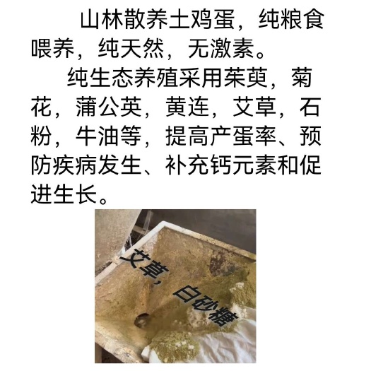 邓州市山林散养土鸡蛋，纯粮食喂养，生态养殖，无激素