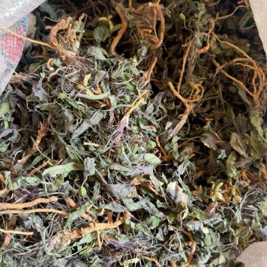 洛宁县紫花地丁，全草干货，量大价格可谈，可长期供货，欢迎咨询！