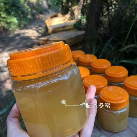 富川县纯正鸭脚木冬蜜，岭南特有药材花花蜜，拒绝喂养，纯正，