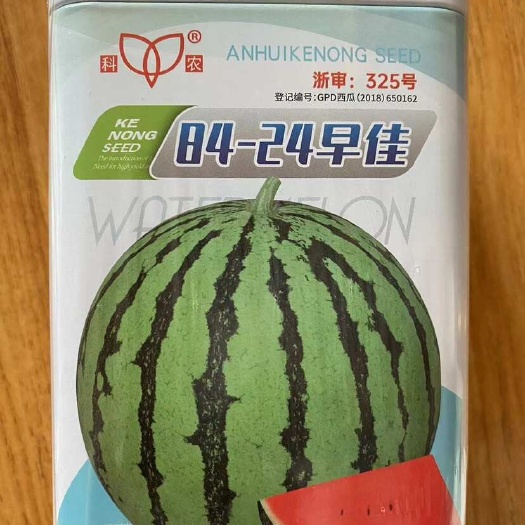 早佳8424西瓜种子大田种植西瓜种子老品种高品质8424西瓜
