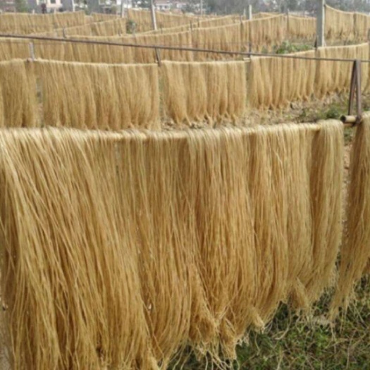 广州红薯粉条，质优价廉
