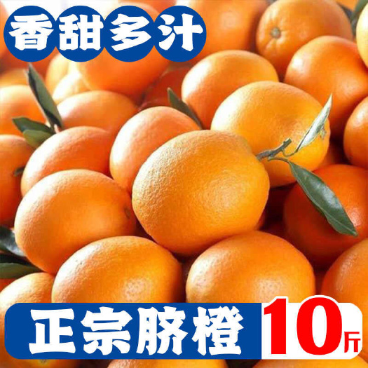【甜】新鲜脐橙橙子新鲜当季水果薄皮整箱批发非赣南脐橙冰糖橙