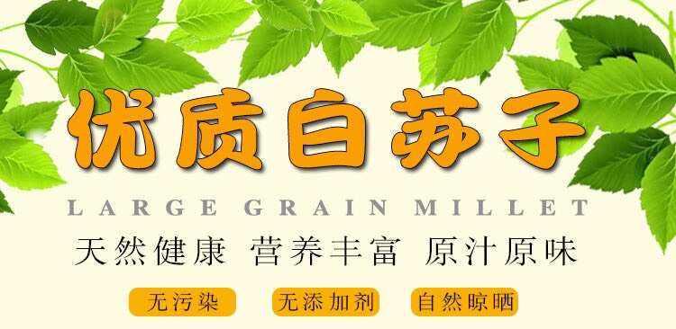 白苏子东北大粒白苏籽 玉苏子 喂鸟苏子鸟食苏子批发