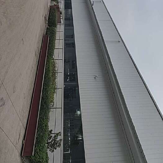 重庆市榨菜