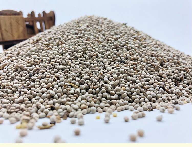 白苏子东北大粒白苏籽 玉苏子 喂鸟苏子鸟食苏子批发