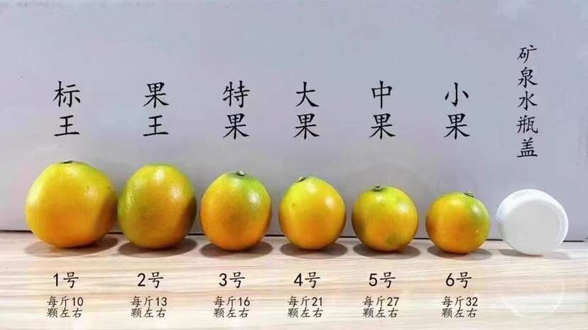 长沙融安金桔