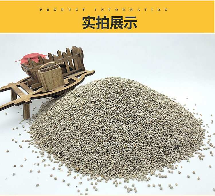 白苏子东北大粒白苏籽 玉苏子 喂鸟苏子鸟食苏子批发