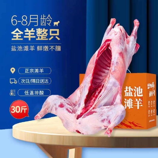 羊肉新鲜现杀冷冻烤全羊内蒙古小羔羊8斤-30斤烧烤酒店食材非