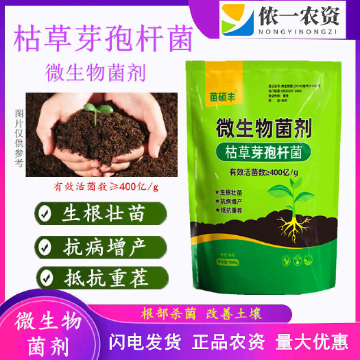 潍坊400亿/克枯草芽孢杆菌