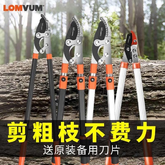 园林剪刀 园艺剪刀果树修剪树枝修枝剪粗枝剪大力剪花剪大省力剪