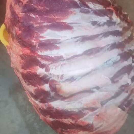 汕头广东汕头新鲜牛骨直销 牛大排