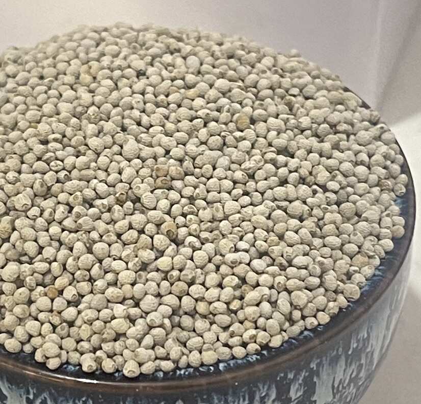 白苏子东北大粒白苏籽 玉苏子 喂鸟苏子鸟食苏子批发