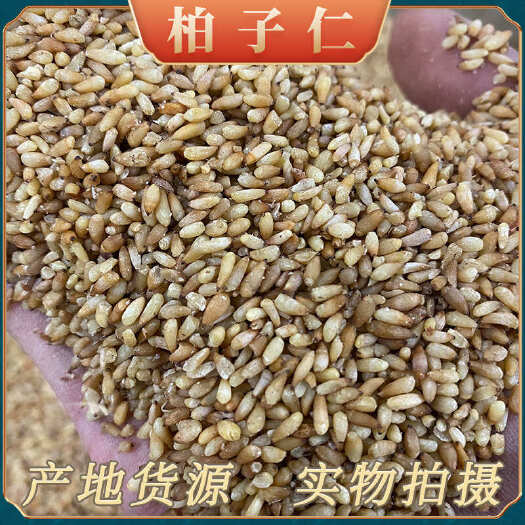 成都【四川发货】中药材柏子仁无硫柏子仁颗粒饱满油性好不掺假包邮